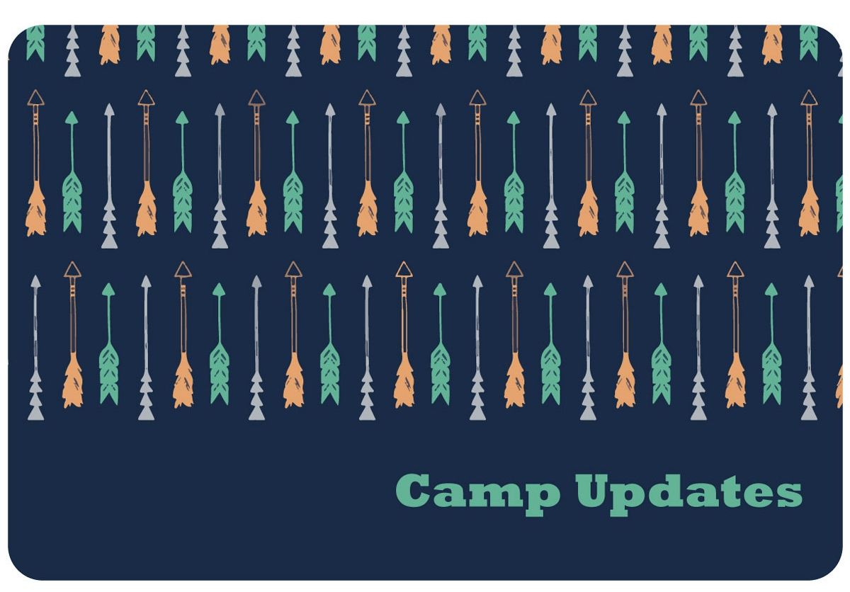 Cool sleepaway camp postcards: Drawn Arrows Camp Updates Postcards from Peace, Love, and Doodles 