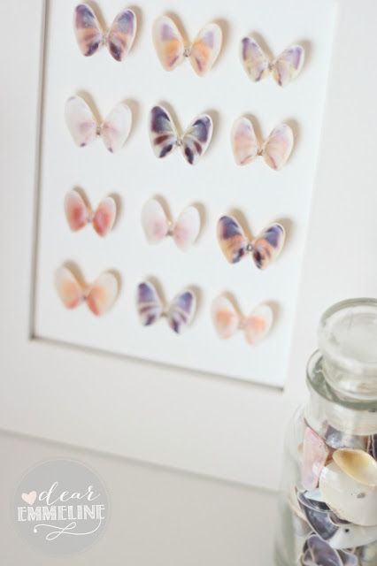 These pretty shells used as specimen wall art resemble butterflies | Petal & Ply (formerly Dear Emmeline)