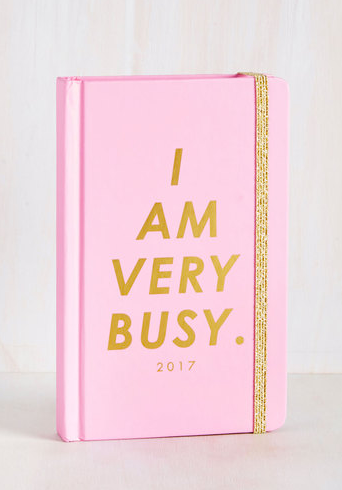 An Inspirational 2017 planner that proves busy can be a good thing, not a stress thing. 
