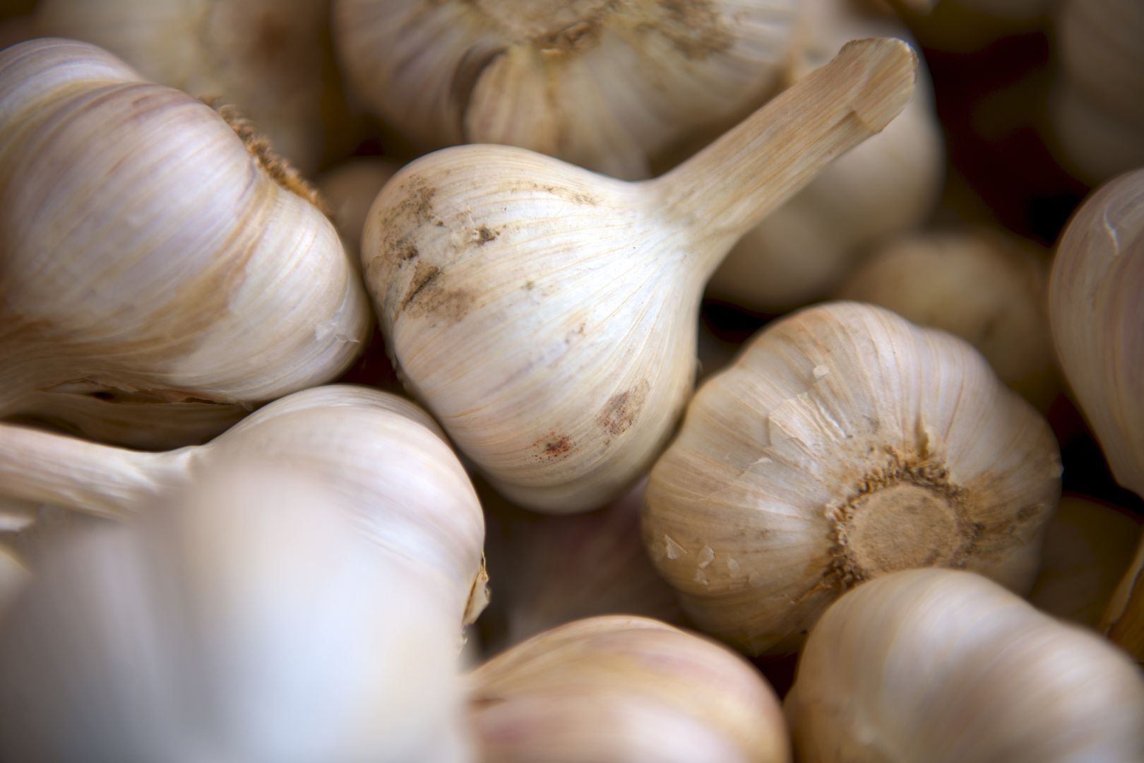 Immunity-boosting foods: Garlic is one of the best cold preventatives available, especially if you eat it raw!