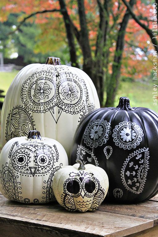 Decorate pumpkins with black sharpie: I'm crazy about the intricate detailing on these cool Sharpie Owl Pumpkins at Lil Blue Boo. So cute!