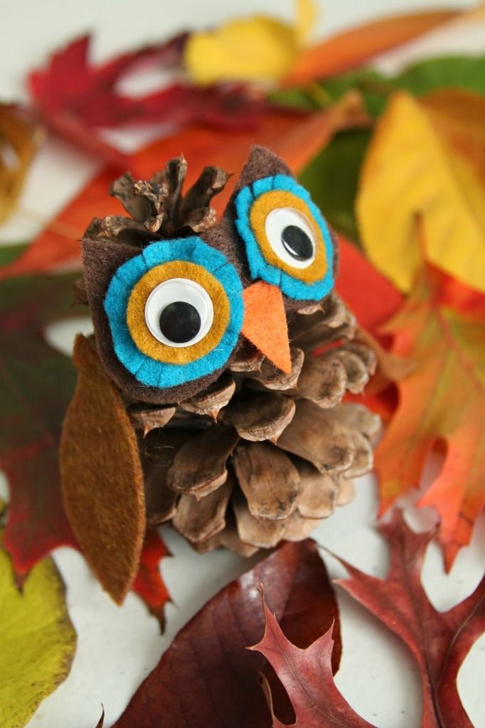 Lock eyes with these adorable Pinecone Owls to get an instant fall boost. | Whimsy Love